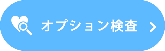 オプション検査のページへ