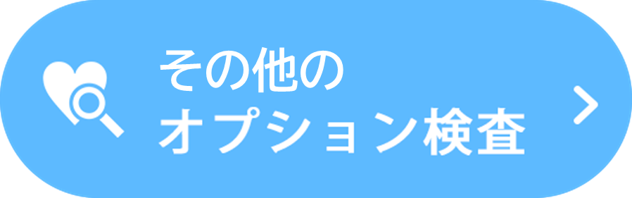 その他のオプション検査